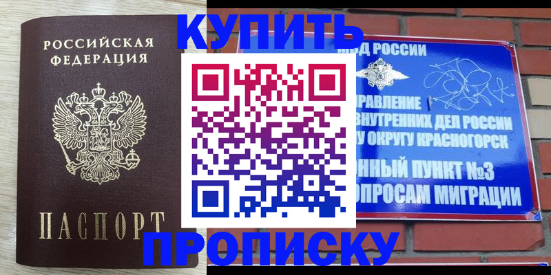 прописка гарантия в Дорогобуже